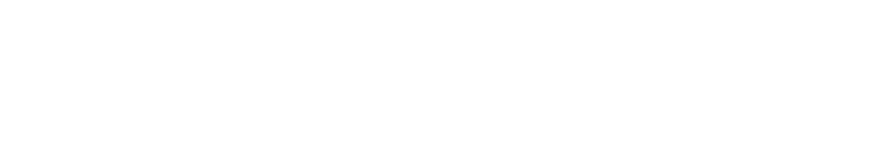 TimePulse Logo